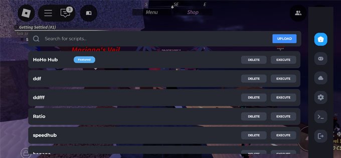 Using Brookhaven Script in Delta Executor